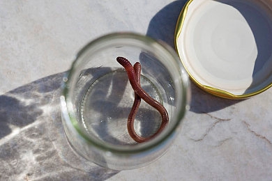 老师的兔子好大:复古校园竞速新游上线,动态变形赛车引爆童心追逐热潮-4