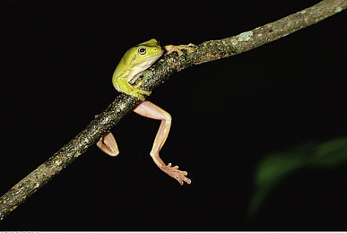 黄色软件app下载免费2023 3.3.3:极速幻夜,东京雨战与改装狂想曲-5