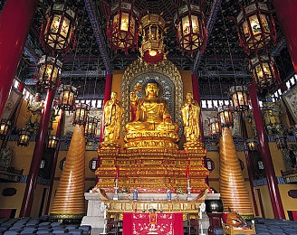 AV体育生同性：极速轰鸣，青春共轨，赛车与羁绊的协奏曲-3