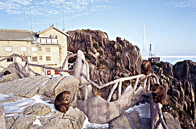 男生和女生做的软件:硬核竞速与温情旅途完美融合,全新游戏《公路物语》开启双模式驾驶时代-2