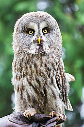 男女插软件：双人共驾，默契竞速，极速搭档带你体验合作驾驶新境界-3