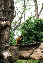 按摩高潮:地平线5触觉革命,体验驾驶的感官盛宴与极致快感-5