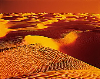 男女之间差差的app:双车共驭,体验认知差异的赛道交响曲-2