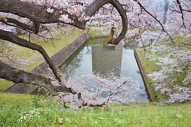 博雅被榜一操：巅峰对决战术全解析，从被压制到反制的竞速策略实战指南-2
