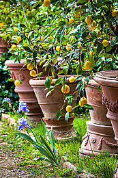 三上悠亚黄色三级片：虚拟偶像跨界赛车游戏，全新联动内容深度解析-3