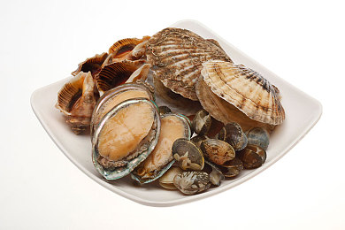 阿娇被吸奶头高潮的最新消息：幻境奇缘新版本今日上线，辅助角色阿娇技能重制引爆战术革新-4