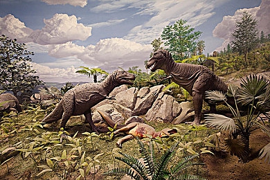 14岁初中生张婉莹的暑假作业紫微：中学生创意引爆游戏圈，古典星象驱动现代赛车新游发布-3