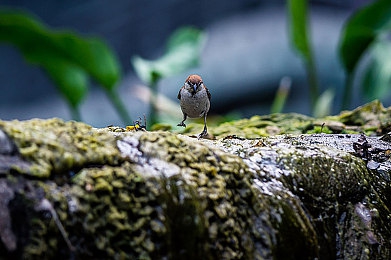 两人www完整版:极速双雄完整版发布,双人分屏竞速体验团队协作新高度-2