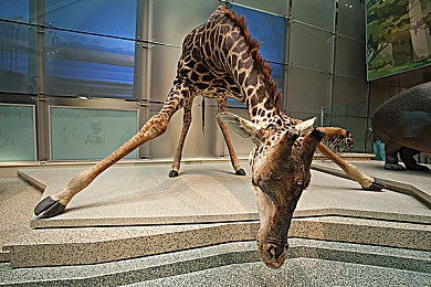 男桶女软件：硬核改装新作引爆Steam，当物理碰撞遇上代码调校-2