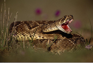 色黄软件下载：《极速幻光》正式上线，沉浸式光谱竞速带来视觉与操控革新-2