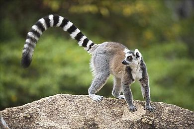 国产电影av：极速光影，中国荣耀，驰骋未来之路-1