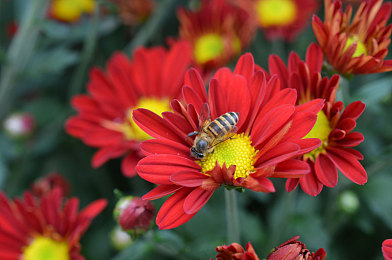 黄色下载软件3.0：极速狂飙虚拟革命，数据赛道颠覆竞速新纪元