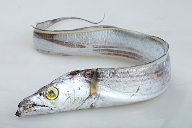 王者荣耀女英雄没有小内没有小爱心：竞技美学革新，战场女将设计更趋实战风范-5