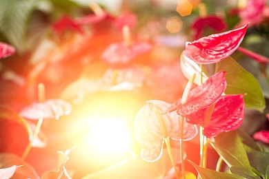 男人和女人打扑克差差差：心理牌局，极速赛道，性别策略的竞速博弈-3