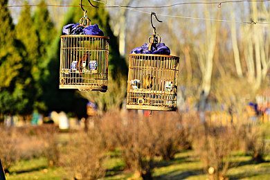 黄色播放:竞速新作颠覆传统,视觉节奏驱动极速狂飙今日上线-4