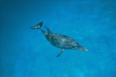 18款夜间禁用软件：永夜求生法则，行为禁区的无声博弈-3