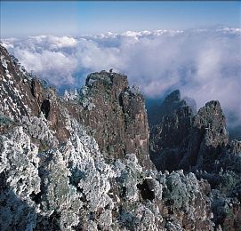 亚洲网站一区二区：极速地平线亚洲风云今日上线，双赛道模式颠覆竞速体验-3