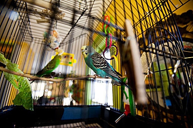 黄色app入口:霓虹深渊,极速密道中的都市传说-2