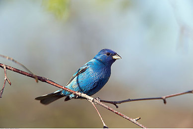 东京热搜app下载安装：极速狂飙东京街头，争夺热搜榜一体验-3