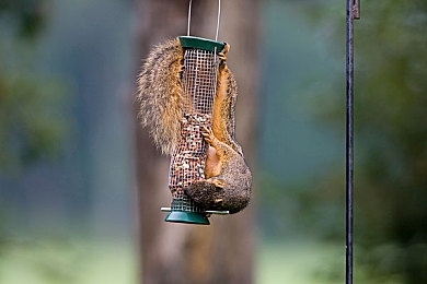 陈冠希阿娇13分49秒在线看:极速轨迹,分秒之争的驾驶艺术与时间哲学-3