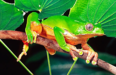 国精产品成人一区:极速纪元复兴,硬核驾驶体验征服纽北赛道-5