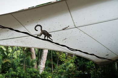 黄色3.03.3：霓虹赛道，毫厘之间的金色狂想曲-3