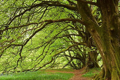 做爱手游：极速狂飙与心动邂逅，改装赛车交织情感旅程-3