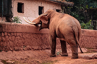 黄色软件3·0：极速都市隐秘传说，车库实验室午夜狂飙-3