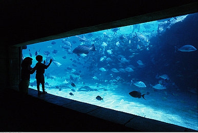 GOGOGO高清免费完整版游戏：次世代竞速新作今日上线，免费完整版带来极致真实驾驶体验-3