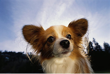 麻豆天美果冻传媒：极速幻影，霓虹赛道上的潮流制片人-5