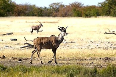 的意思打扑克不盖被子：赤手驾驭钢铁巨兽，在虚拟赛道掀起原始风暴-2