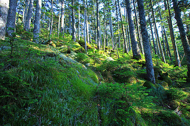 张婉莹和紫色面具：幻影赛道谜局揭秘，霓虹城竞速解谜双重盛宴-3