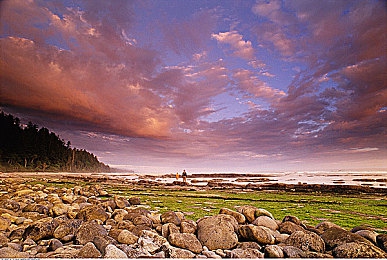 亚洲一区和2区：极速对决，东方赛道上的精密计算与狂野艺术-3