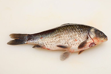 丁香五月社区：霓虹街巷，引擎低语与人间烟火交织的旅程-4