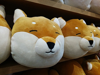 欧美亚洲日本韩国一区二区：全球竞速游戏设计哲学大碰撞，你的方向盘将驶向何方-3