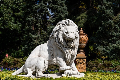 男生坤坤放女生坤坤里：双车同心，极速交融，共赴赛道之约-2