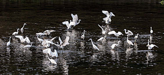 男生女生一起搓搓搓：双人共驾新体验，默契协作点燃赛道激情-1