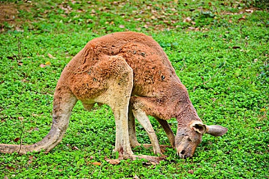 黄色软件下载oppo3.03：极速狂飙都市风云登陆OPPO新机，畅享高帧竞速与深度改装乐趣-3