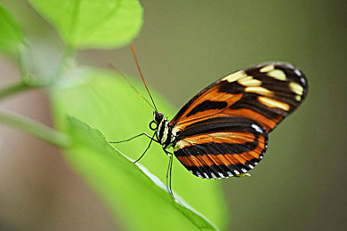 热心的朝阳区群众：穿梭数字街道，化身社区守护者体验驾驶新乐趣-3