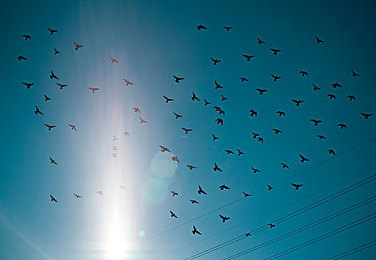 几几寒入女生困困:寒夜求生新作发售,少女荒野生存引发情感共鸣-4