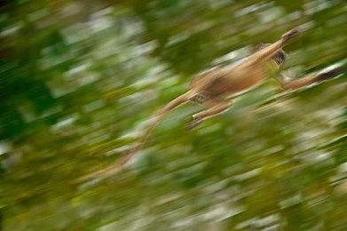 一个妈妈的7中字头强华驿人物关系：复兴之路，母亲执棋运筹帷幄的交响诗篇-5