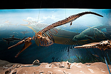 男女一起差差免费软件App：双人竞速新作上线，差异协同玩法颠覆传统驾驶体验-4