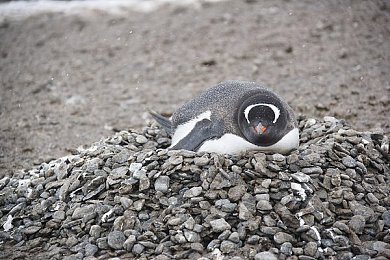 17c吃瓜黑料爆料：竞速新作陷争议漩涡，车辆数据与公平性引发玩家质疑-2