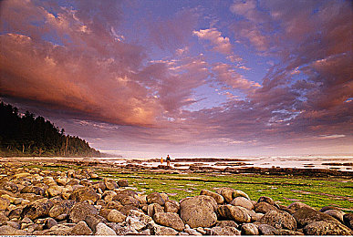 国产成人福利片：霓虹心途，速度与温度交织的东方夜行诗-3