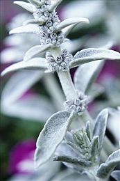 男插女APP：双人协同竞速新作，极速插槽开启默契驾驶革命-5