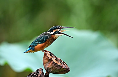 三上悠亚 中出：弯道心术，极速博弈中的精准突入艺术-4