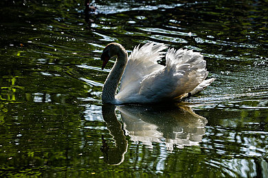 福建导航app官方下载入口：极限竞速山海之旅，沉浸征服蜿蜒海岸与盘山险道-4
