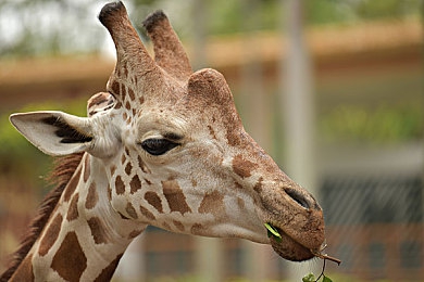 三P真实刺激过程：极限竞速地平线5全新多人模式上线，三重维度竞速博弈引爆墨西哥狂欢