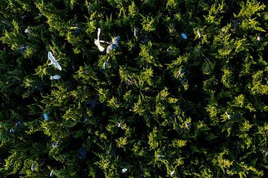 扑克牌又痛又叫:极速狂飙赌局,双重挑战引爆策略与激情-2