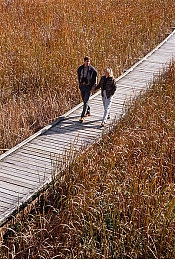 中国性AV：国产科幻竞速新作今日上线，未来都市赛道与极致操控引爆玩家热情-5